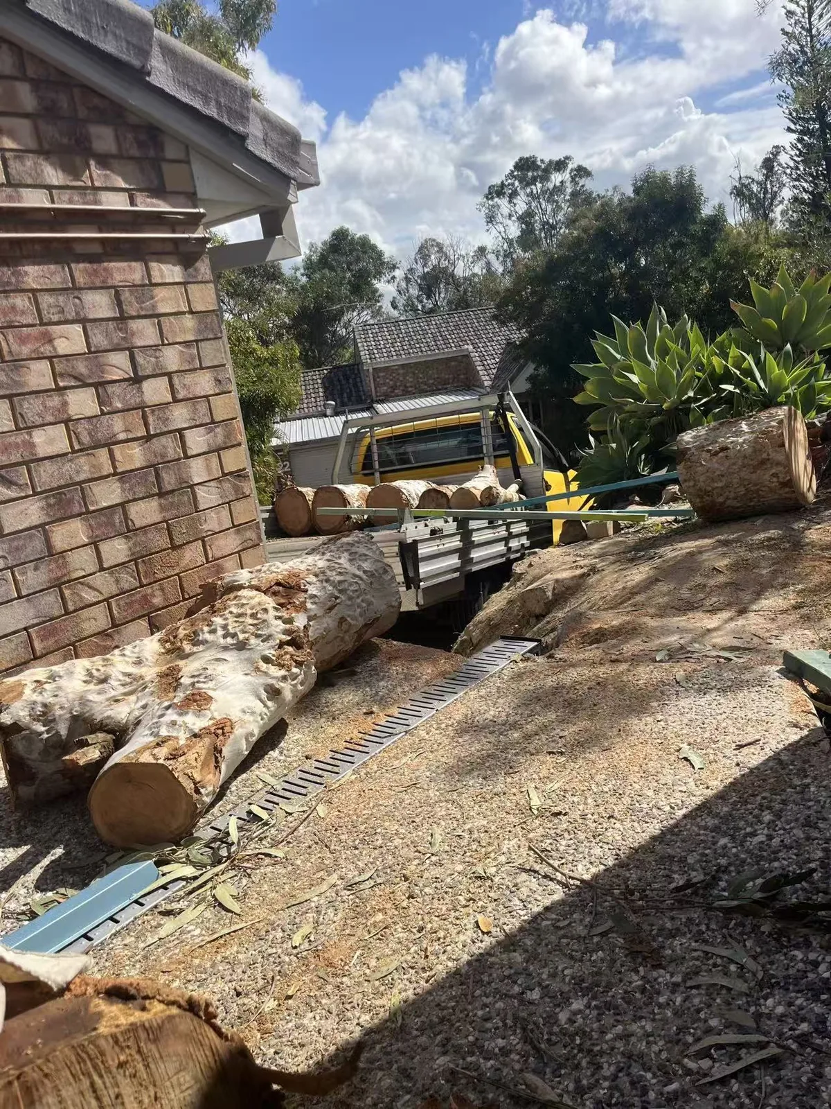 Cut log sections positioned beside a home ready for removal