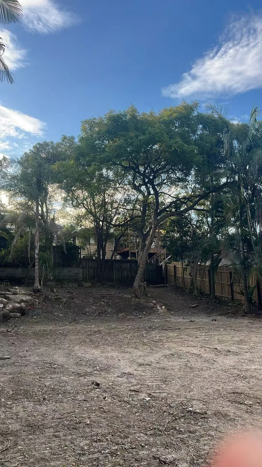 Open backyard with mature trees before a removal project